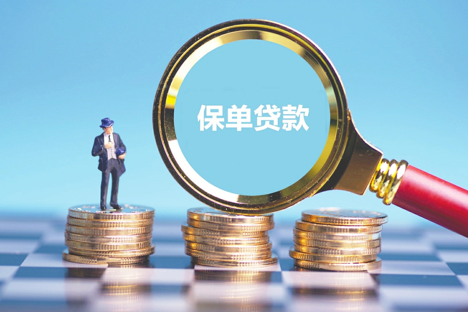 大连普兰店区空放应急贷：快速解决资金困难的最佳选择. 应急贷款, 临时资金周转, 贷款申请